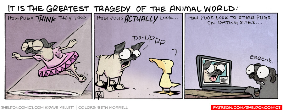 What is the greatest tragedy of the animal world? - Sheldon® Comic Strip