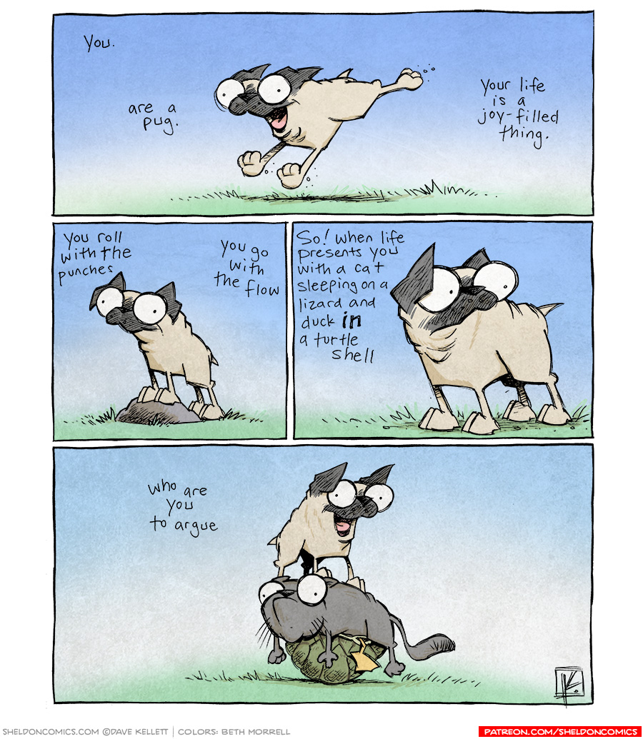 Turtle Power, part 4 Sheldon® Comic Strip