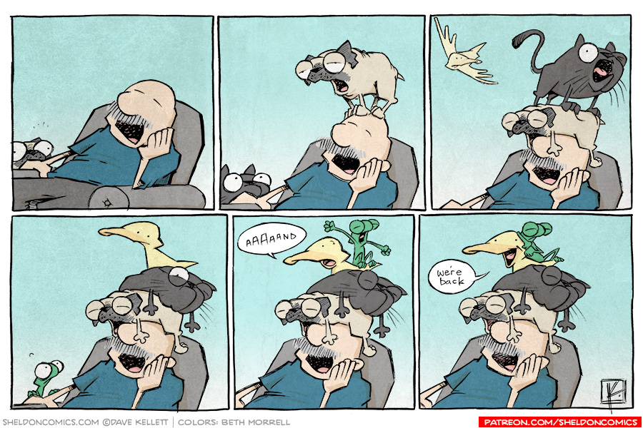 Returns Sheldon® Comic Strip