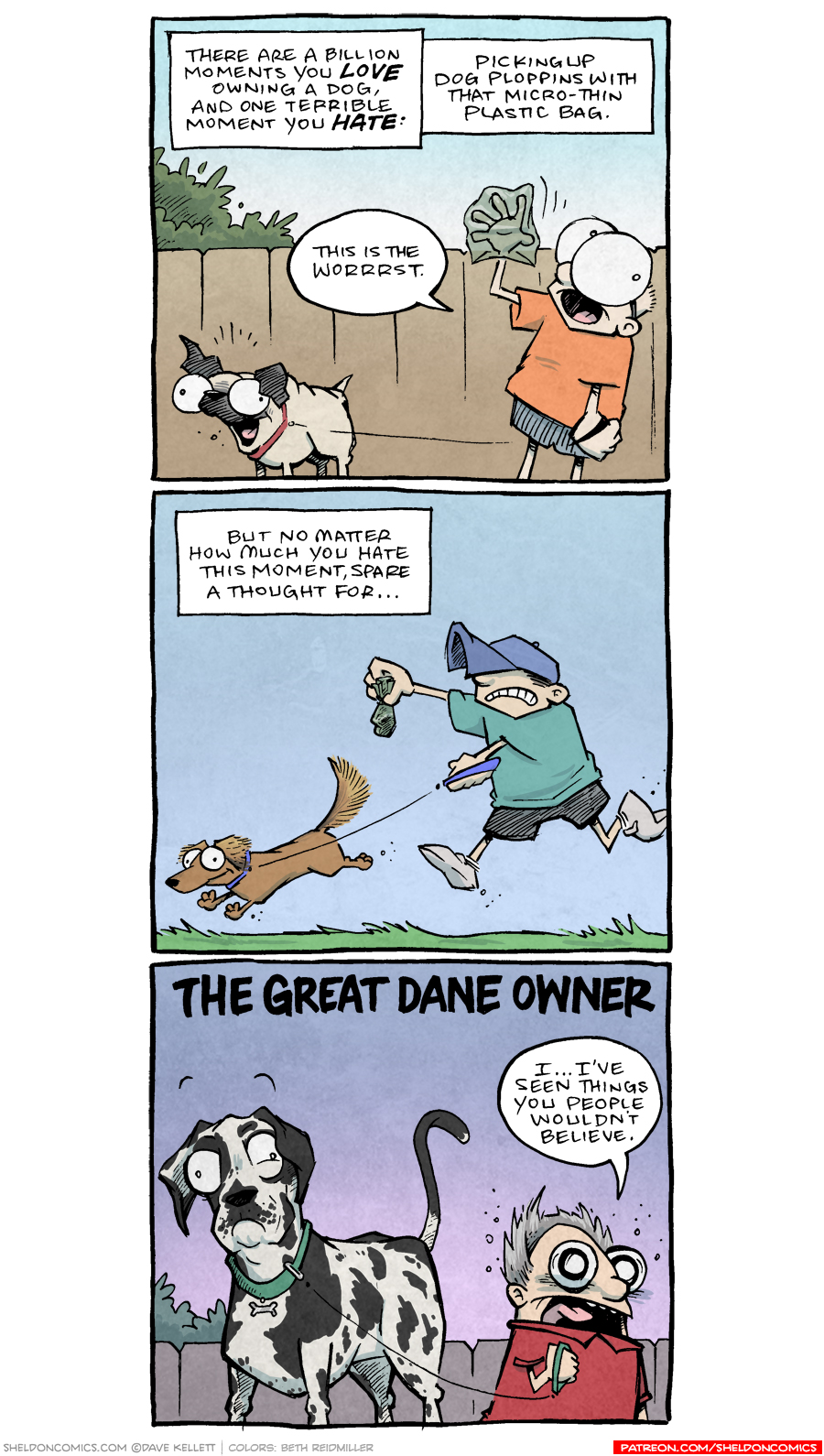 The Worst Sheldon Comic Strip