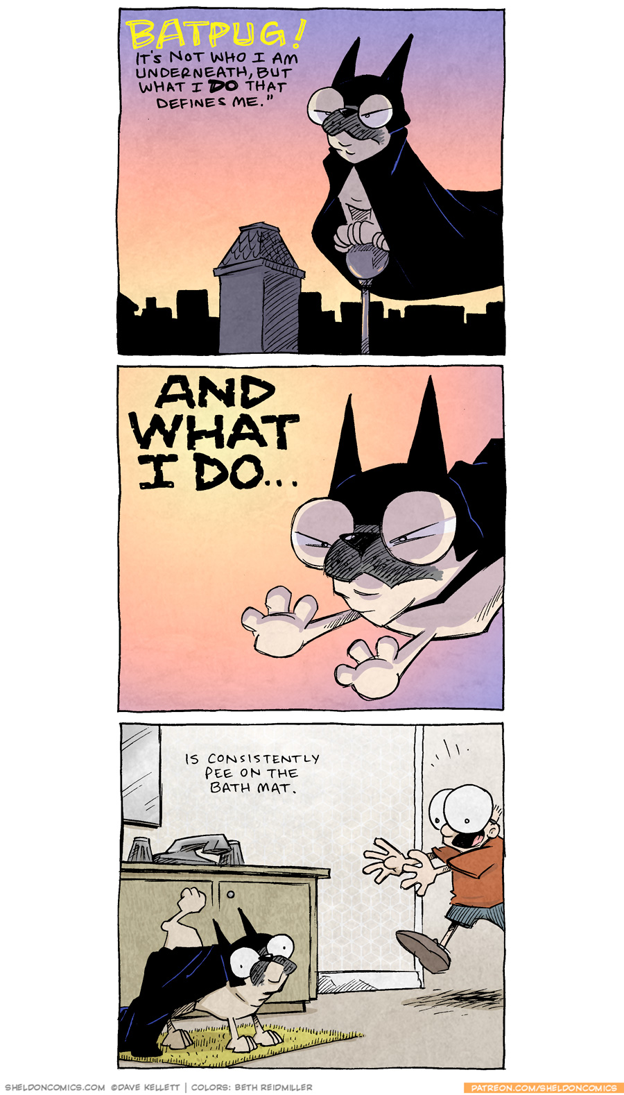 What I do... Sheldon® Comic Strip